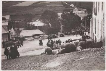 2 vues - Les Pyrénées (4e série). 154. Arreau : marché aux moutons. - Toulouse : maison Labouche frères, [entre 1900 et 1930]. - Photographie (ouvre la visionneuse)
