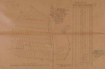 1 vue - Plan géométrique d\'un terrain communal appartenant à la commune de Bessières situé au lieu de la Forêt. A. Robert, architecte. 25 octobre 1898. Ech. 1/2500. (ouvre la visionneuse)