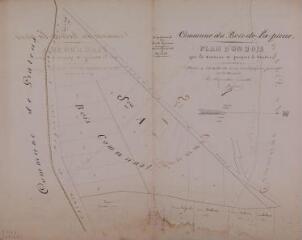 1 vue - Commune du Bois-de-la-Pierre, plan d\'un bois que la commune se propose à vendre. Joseph Mascard, géomètre. [10 janvier 1860]. Ech. 0,001 p.m. (ouvre la visionneuse)