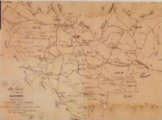 1 vue - Plan général du territoire de Brignemont. Octobre 1873. Ech. 1/10000. (ouvre la visionneuse)