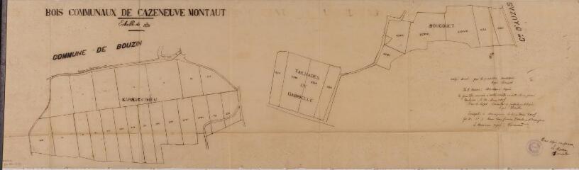1 vue - Bois communaux de Cazeneuve-Montaut. Copie du plan de Guillaume-Victor-Célestin Couget, géomètre-expert. 1905. Ech. 1/1250. (ouvre la visionneuse)