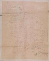 1 vue - Plan parcellaire des vacants communaux de Charlas au quartier du Brouca. Duran. 11 mai 1861. Ech. 1/1250. (ouvre la visionneuse)