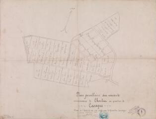 1 vue - Plan parcellaire des vacants communaux de Charlas au quartier de Cassagne. 2 février 1923. Ech. 1/1250. (ouvre la visionneuse)
