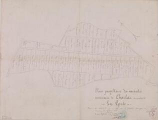 1 vue  - Plan parcellaire des vacants communaux de Charlas au quartier de la Goute. Aristide Bascans, géomètre. 2 février 1923. Ech. 1/1250. (ouvre la visionneuse)