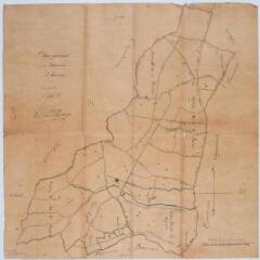 1 vue - Plan général de la commune d\'Eaunes. Jean Toulza, géomètre. [6 mars 1894]. Ech. 1/10000. (ouvre la visionneuse)