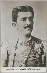 1 vue  - 21. S.A.R le prince Danilo, généralissime de la vaillante armée monténégrine. - Paris : [s.n], marque J.P, [entre 1914 et 1918]. - Carte postale (ouvre la visionneuse)