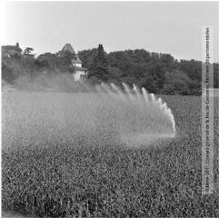 2 vues - Environs de Salles-sur-Garonne : arrosage des champs de maïs / Jean Ribière photogr. - [entre 1950 et 1970]. - 2 photographies (ouvre la visionneuse)
