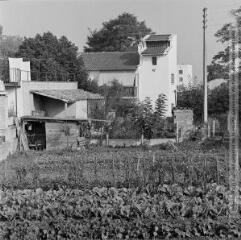 1 vue - Jardins familiaux. Saint-Jory (Haute-Garonne) / Jean Ribière photogr. - [entre 1950 et 1970]. - Photographie (ouvre la visionneuse)