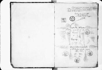 203 vues - Commune de Gragnague. 1 D 4 : registre de délibérations relié dos basane verte, 385 p. , 1868, 5 avril-1897, 21 février (ouvre la visionneuse)