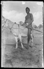 1 vue - [Afrique : jeune garçon sur un âne]. - Toulouse : maison Labouche frères, [entre 1930 et 1940]. - Photographie (ouvre la visionneuse)