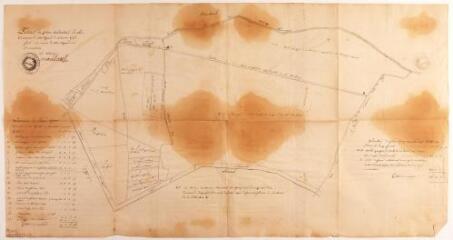 1 vue - Extrait du plan cadastral de la commune de Montgeard de l?année 1748. 28 mars 1834. Ech. n.d. (ouvre la visionneuse)