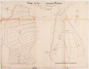 1 vue - Partage des biens communaux de Montmaurin. Courrégé, géomètre. 25 mars 1861. Ech. 1/1250. (ouvre la visionneuse)