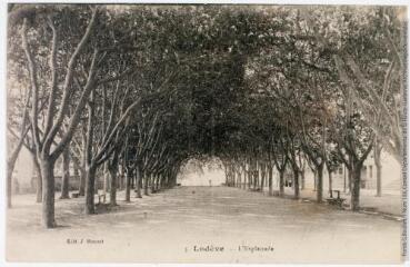 2 vues 5. Lodève : l'esplanade. - 17 avril 1918. - Carte postale