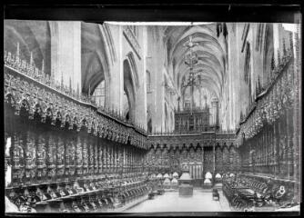 1 vue 8. Auch : cathédrale Sainte-Marie (Mon. Hist. de 1489) [monument historique] : les stalles, chefs-d'oeuvre de la Renaissance, 113 sièges