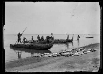 1 vue - [Pirogues de pêcheurs en papyrus. Sur la plage, sont exposés les poissons pêchés]. (ouvre la visionneuse)
