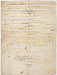 1 vue Plan géométral représentant divers lopins de terrains incultes en projet de vente par la commune de Lécussan. Dominique Aviragnet, géomètre. 12 mars 1857. Ech. 1/1000.