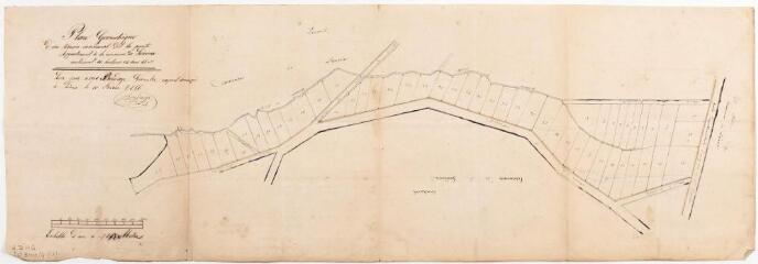2 vues - Plan géométrique d\'un terrain communal dit la Punte appartenant à la commune de Liéoux. Bordage, géomètre. 10 février 1856. Ech. 1/1250. (ouvre la visionneuse)