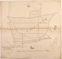 1 vue - Plan parcellaire du bois communal de Loudet, quartier de Goutillon. 1896. Ech. 1/2500. (ouvre la visionneuse)