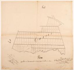 1 vue - Plan parcellaire du bois communal de Loudet, quartier de Garros. 1896. Ech. 1/2500. (ouvre la visionneuse)