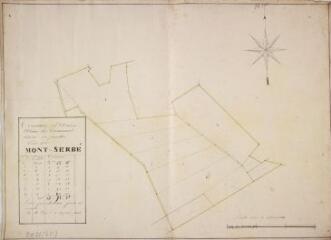 1 vue Commune d'Aulon, plan du communal divisé en parcelles lieu dit Mont Serbé. Soubiran, géomètre. 1er septembre 1841. Ech. 1/2500.