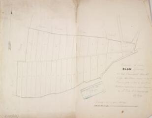 1 vue Commune d'Aulon, plan géométral du bois communal lieu-dit Cap del Bosc. Soubiran, géomètre. 8 septembre 1861. Ech. 1/2500.