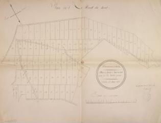 1 vue - Communaux d\'Aulon, plan du partage du Haut du Mont. Elie Marty, géomètre. 5 mars 1877. Ech. 1/1000. (ouvre la visionneuse)