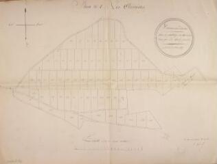 1 vue Communaux d'Aulon, plan du partage des Aumèdes. Elie Marty, géomètre. 5 mars 1877. Ech. 1/1000.