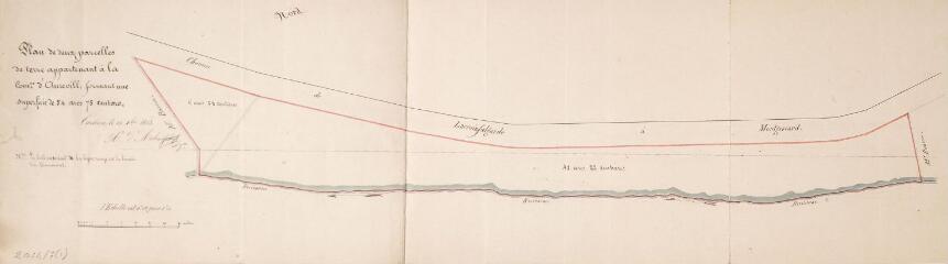 1 vue - Plan de deux parcelles de terre appartenant à la commune d\'Aureville. D\'Aubuisson, arpenteur géomètre. 15 décembre 1853. Ech. 0,02 p.m. (ouvre la visionneuse)