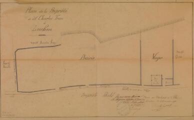 1 vue - Plan de la propriété de Charles Tron à Luchon. Castex, architecte de la ville. 8 novembre 1890. Ech. 0,002 p.m. (ouvre la visionneuse)