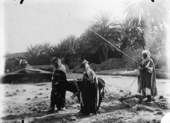 1 vue - [Algérie ?] : scène de travaux des champs dans un oasis. - [entre 1900 et 1930]. - Photographie (ouvre la visionneuse)