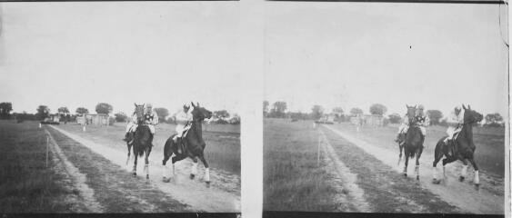1 vue - Champ de course : deux chevaux en compétition. - [entre 1890 et 1920]. - Photographie (ouvre la visionneuse)