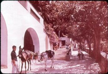 71 vues C 3783-3801, 3814. Golfe de Naples : Capri (Italie), villa San Michele, rochers de Faraglioni.