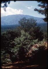 16 vues 4189-4208. Taormine (Sicile) et vue panoramique sur l'Etna.