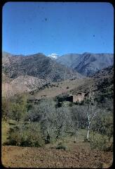 27 vues 2717-2719. Massif de l'Atlas (Maroc). 2720-2720 bis. Près de l'Aghbar. 2721-2738. Paysages montagneux, arbres, villages. 2739-2741. Ijoukak. 2742-2743. Palmiers, montagnes en arrière-plan.