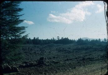 23 vues 2770-2771. Coucher du soleil. 2772. Maison. 2773-2776. Forêt de Tamralta (Maroc). 2777-2780. Dayèt Aaoua (lac au sud d'Azrou, Maroc central). 2781-2783. Ifrane. 2784-2786. Laboratoire d'Ifrane. 2787-2792. Ras El Ma, près d'Azrou : forêt de Cèdrus atlantica. 2793. El Hajeb près de Meknès : coucher de soleil.