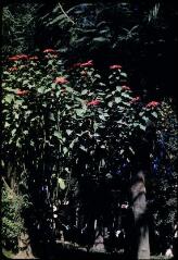 33 vues 2684-2685. Fleuve Oum Er-Rbia (Maroc). 2686-2692. Paysages arides, route. 2693-2714. Marrakech : patrimoine. 2715. Paysage montagneux. 2716. Tahanaout-Marrakech.