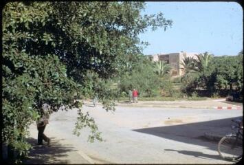 7 vues 2669-2675. Rabat (Maroc) : patrimoine, cathédrale, Institut scientifique chérifien..