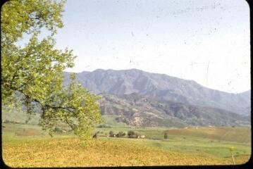17 vues 3025-3037. Paysages, site historique (tombeau de la Chrétienne à Sidi Rached, wilaya de Tipaza). 3038-3039. Blida : le kiosque. 3040. Arbre de Judée.