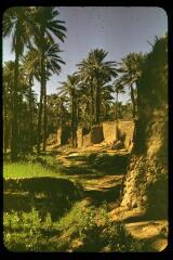 30 vues 1439, 1446-1460. Béni-Abbès. 1461-1462. Oued Zousfana, près d'Igli. 1465-1466. La route. 1467. Fort sur une hauteur. 1468. Palmeraie. 1469. Village. 1472-1476. Taghit : oasis. 1477-1478. Taghit au coucher du soleil.