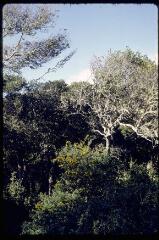 4 vues B 9199-9202. Cap Bon.