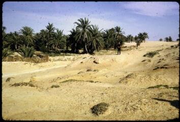 16 vues B 9249-9252. El Hamma : le village. B 9253-9260. L'oasis et la palmeraie. B 9261-9263. Mirage et les buissons du mirage. B 9264. Montagne du sud tunisien.