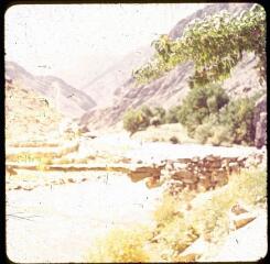 3 vues Haut Panjshir (Afghanistan). Pont sur la rivière de Keraman. Mûriers et peupliers blancs.