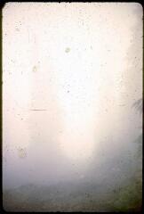 4 vues A 3898-3901. Mont Seymour (Colombie-Britannique) : sapins dans le brouillard.