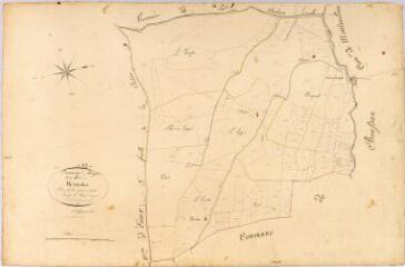 1 vue Section B de Bernadou, 1ère feuille, éch. 1/2500.