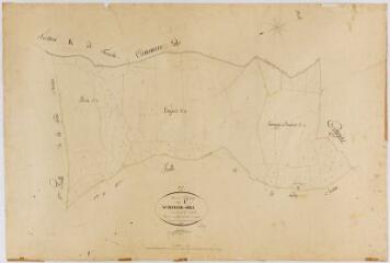 1 vue Section L de Notre-Dame et Cipré, 1ère feuille, éch. 1/2000.