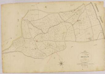 1 vue Section C d'en Bidaoucot, 1ère feuille, éch. 1/2500.