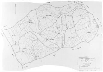 1 vue Section E, 2ème feuille, éch. 1/2500.