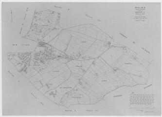 1 vue Section C, 1ère feuille, éch. 1/2500.