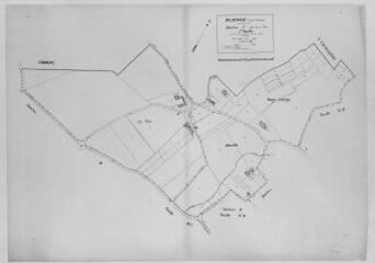 1 vue Section C1 de la Tour, éch. 1/1250.