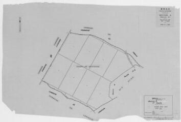 1 vue Section A, 1ère feuille, éch. 1/2500.